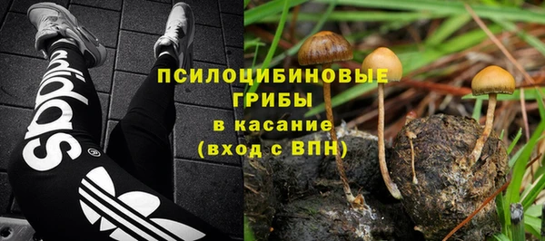 сатива Верхний Тагил