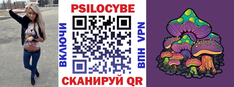 дарнет шоп  Кочубеевское  MEGA как войти  Псилоцибиновые грибы Psilocybine cubensis 